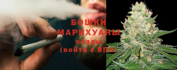 шишки Алзамай