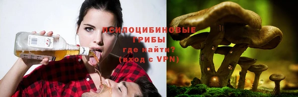 сатива Няндома