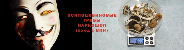 соль ск Алексеевка