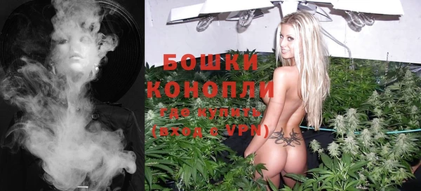 шишки Алзамай