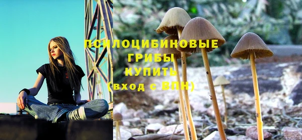 крисы Алексин