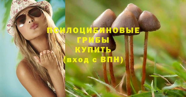 соль ск Алексеевка